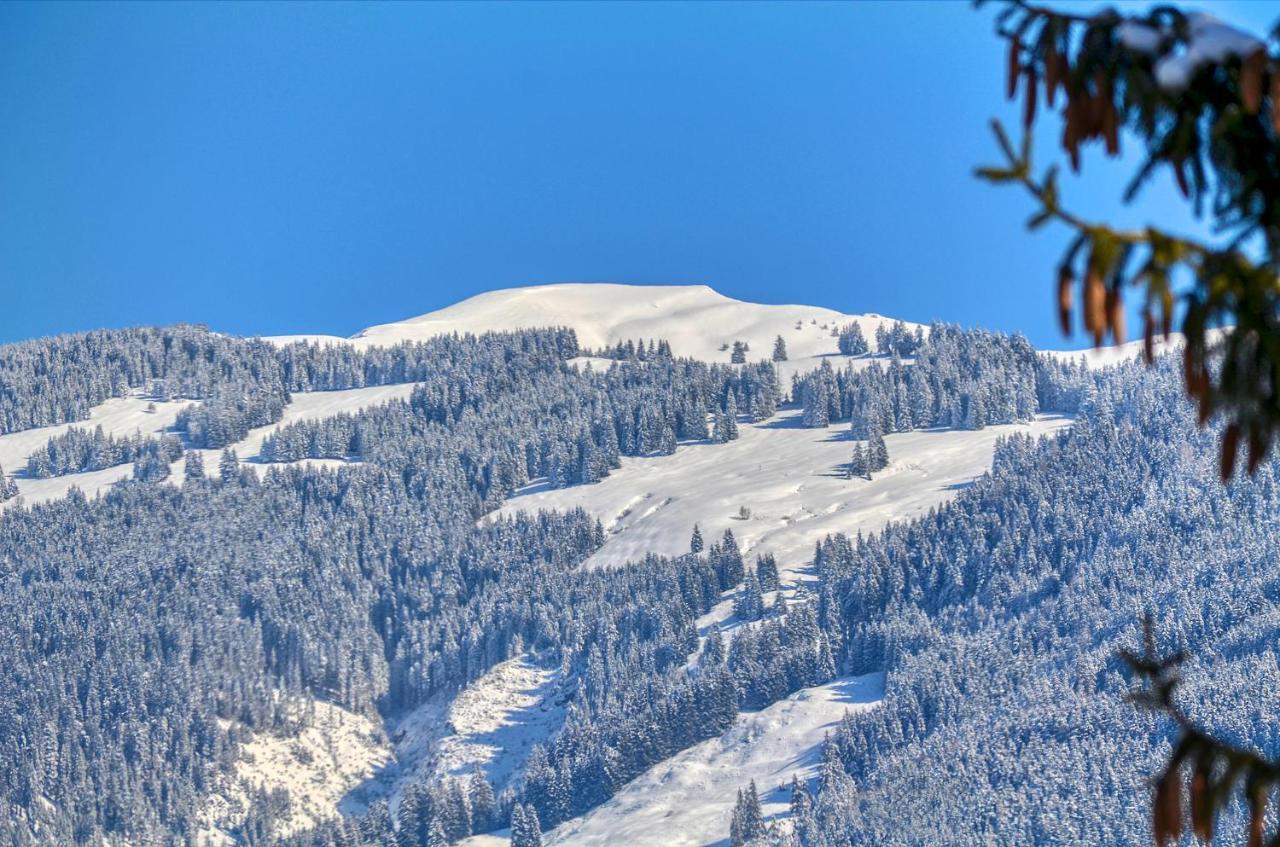 Apartment Snowmountain - By Alpen Apartments Zell am See Extérieur photo
